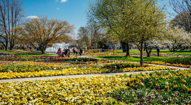 Bundesgartenschau in Erfurt eröffnet | Busnetz