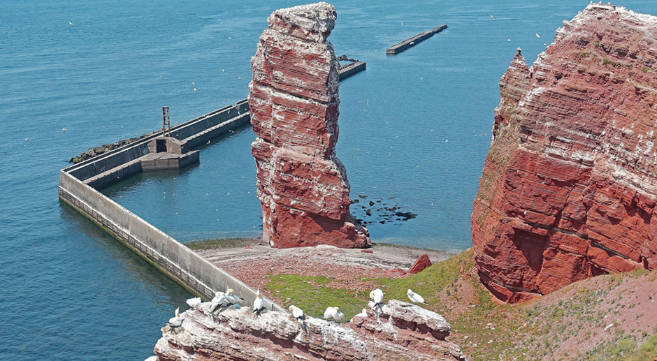 norddeich nach helgoland katamaran